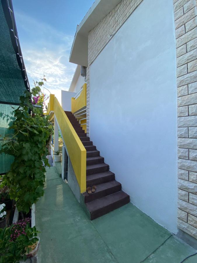 Apartment Elena Donji Okrug  Ngoại thất bức ảnh